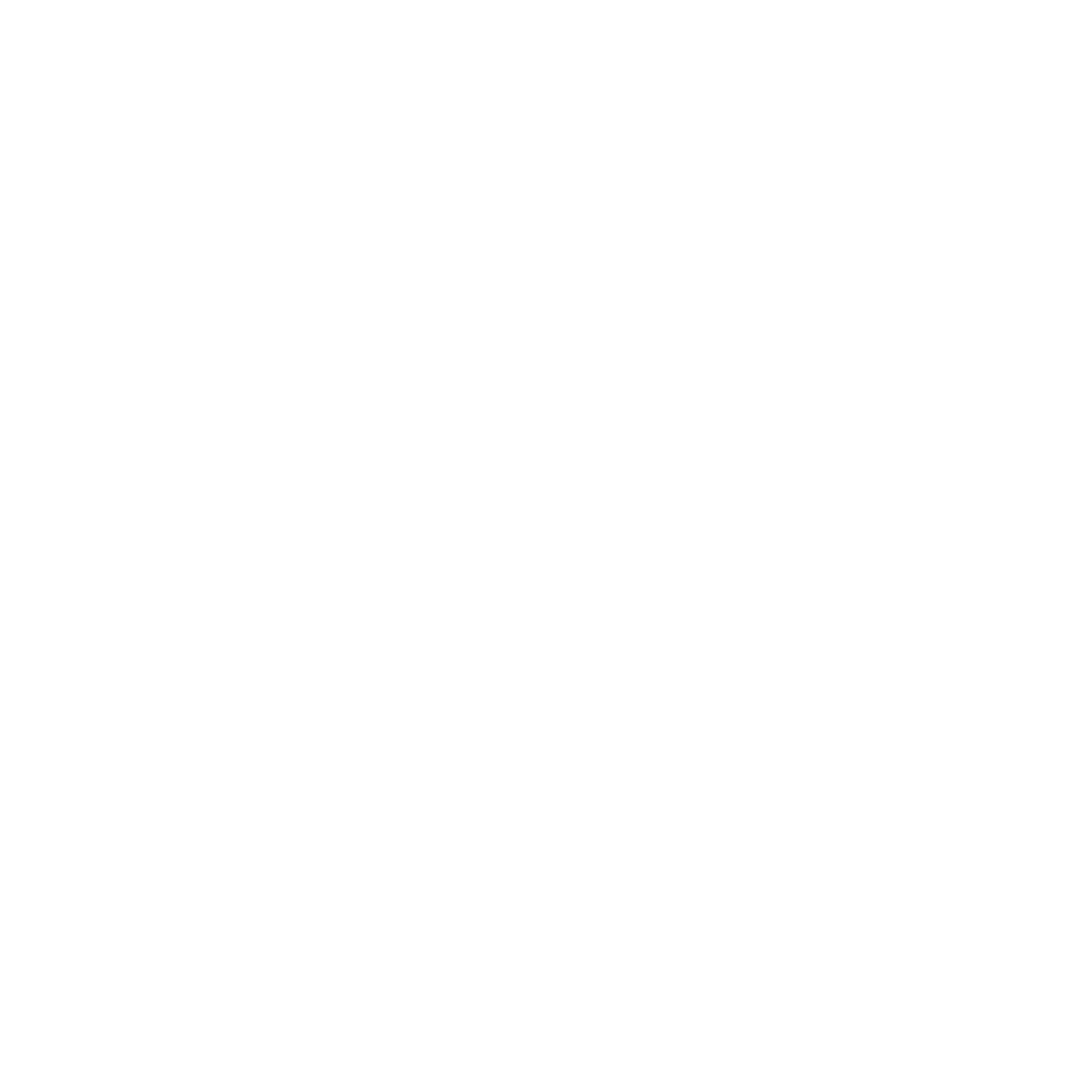 Dommo C Logo